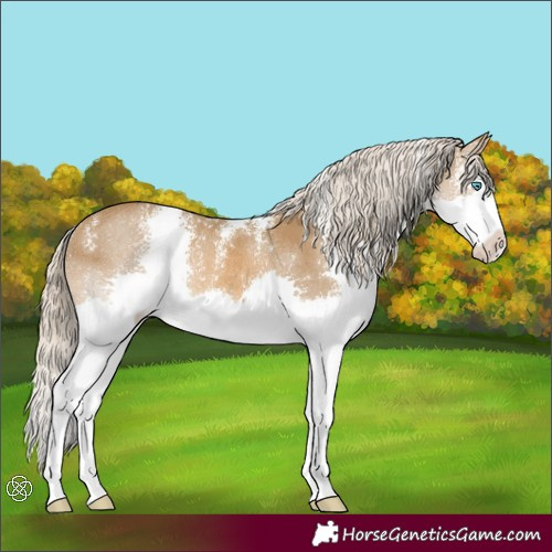 Horse Color:Chocolate Palomino Sabino Splash Varnish Rabicano 
