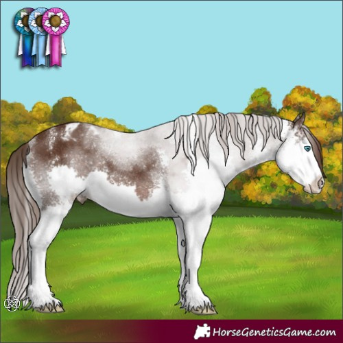 Horse Color:Liver Chestnut Sabino Splash Varnish Rabicano