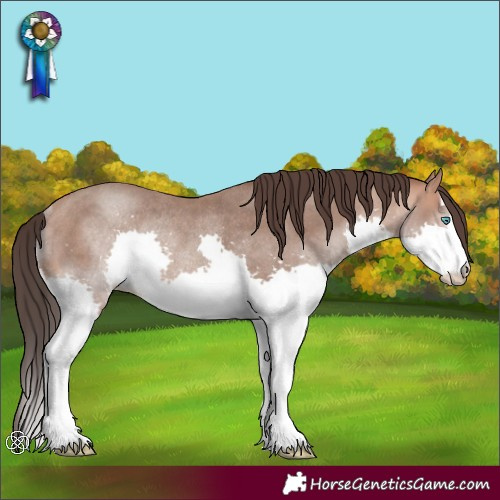 Horse Color:Amber Champagne Splash Rabicano 