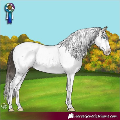 Horse Color:Buckskin Splash Tobiano Frame Varnish Rabicano