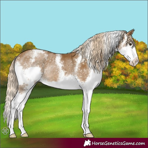 Horse Color:Chocolate Palomino Sabino Splash Varnish Rabicano