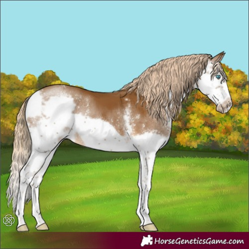 Horse Color:Chocolate Palomino Sabino Splash Frame Rabicano 