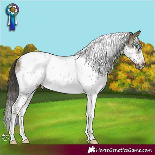 Horse Color:Buckskin Splash Tobiano Frame Rabicano 