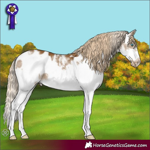 Horse Color:Chocolate Palomino Sabino Splash Frame Blanket Rabicano 