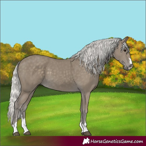 Horse Color:Silver Smoky Black 