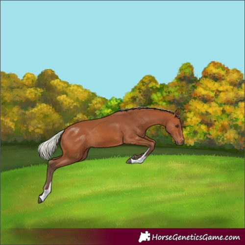 Horse Color:Silver Bay Tobiano
