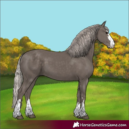 Horse Color:Silver Black 