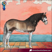 Horse Color:Liver Red Onyx Splash