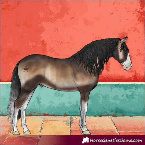Horse Color:Liver Red Onyx Splash