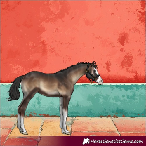 Horse Color:Liver Red Onyx Splash 