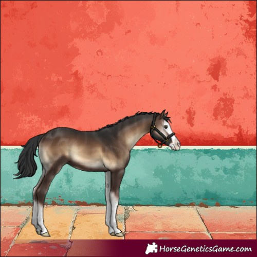 Horse Color:Liver Red Onyx Splash