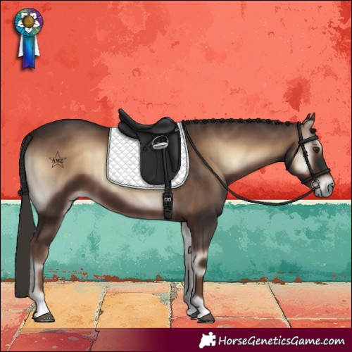 Horse Color:Liver Red Onyx