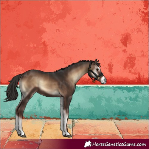 Horse Color:Liver Red Onyx 