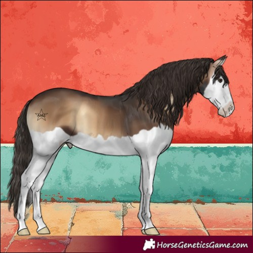 Horse Color:Liver Red Onyx Splash 