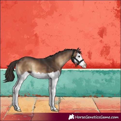 Horse Color:Liver Red Onyx Splash 