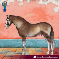Horse Color:Red Onyx Splash 