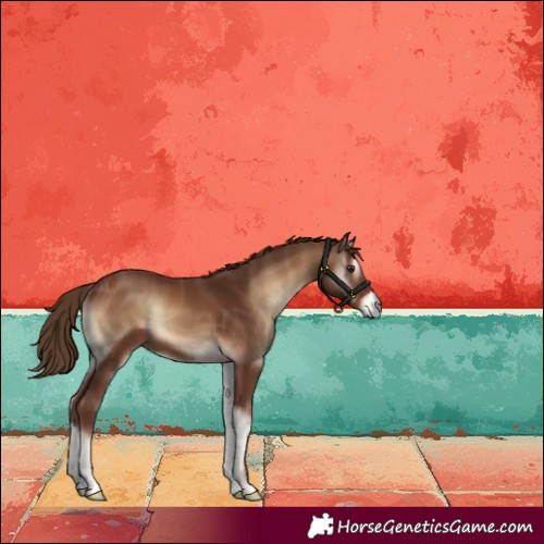 Horse Color:Red Onyx