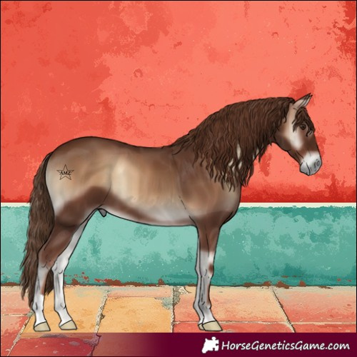 Horse Color:Red Onyx