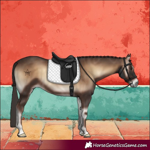 Horse Color:Liver Red Onyx