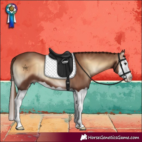 Horse Color:Red Onyx Splash 