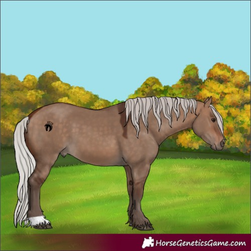 Horse Color:Silver Bay Dun 