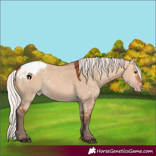 Horse Color:Silver Bay Dun Snowcap