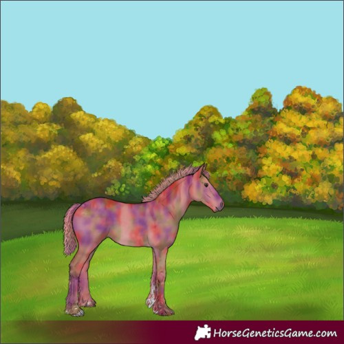Horse Color:Nacre Watercolor Liver Red Dun Tobiano 