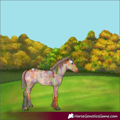 Horse Color:Nacre Plaid Liver Red Dun