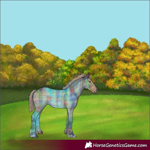 Horse Color:Nacre Plaid  Liver Red Dun Tobiano 