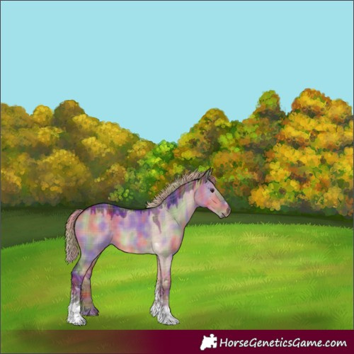 Horse Color:Nacre Plaid  Liver Red Dun Tobiano 
