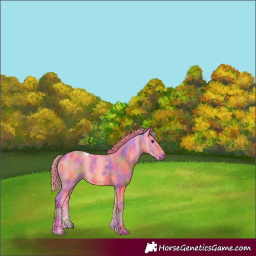 Horse Color:Nacre Watercolor Liver Red Dun 