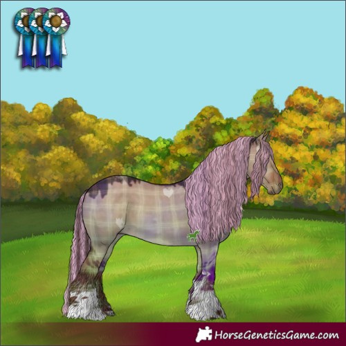 Horse Color:Painted Plaid  Liver Red Dun Tobiano 