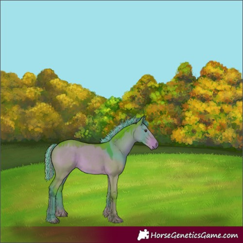Horse Color:Painted Watercolor Liver Red Dun 