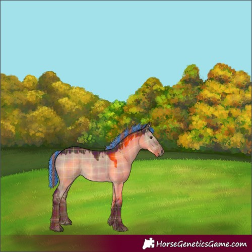 Horse Color:Painted Plaid Liver Red Dun