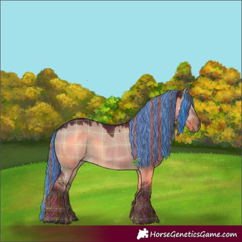 Horse Color:Painted Plaid  Liver Red Dun 