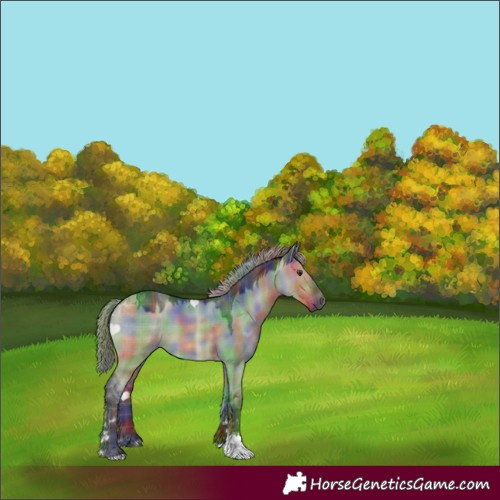 Horse Color:Nacre Plaid Liver Red Dun Tobiano