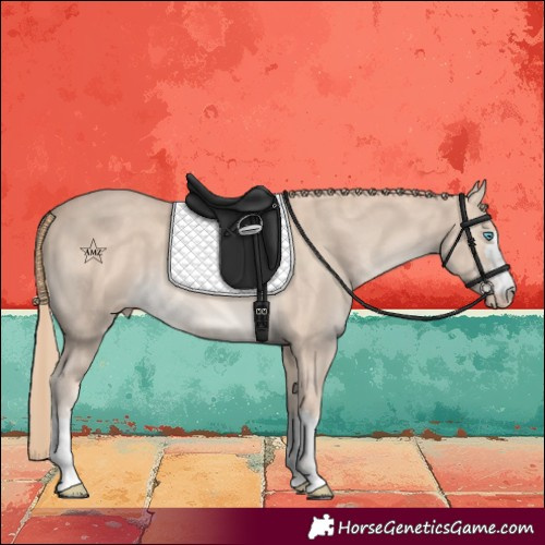 Horse Color:Perlino