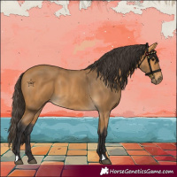 Horse Color:Buckskin 