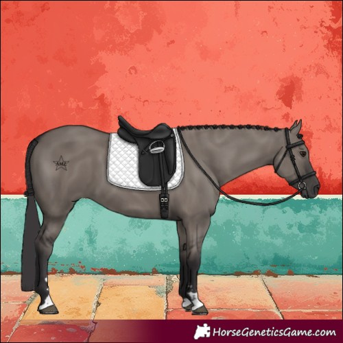 Horse Color:Smoky Grullo