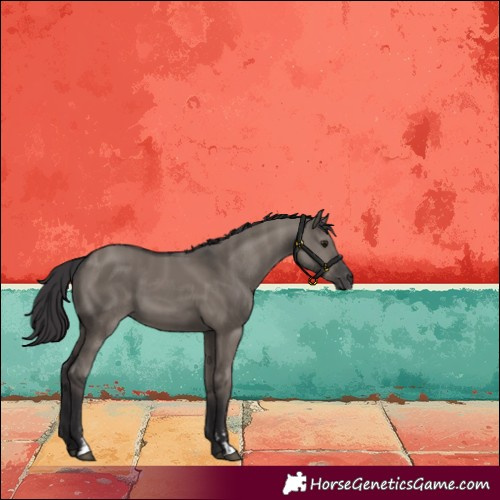 Horse Color:Smoky Grullo 