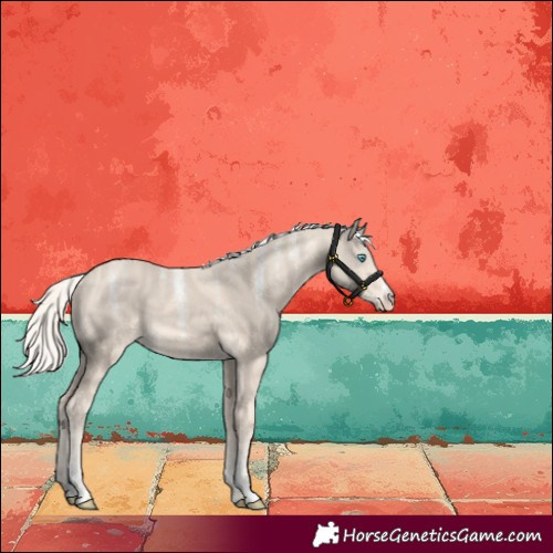 Horse Color:Powder White Cremello 
