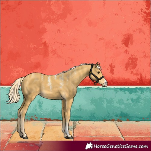 Horse Color:Powder White Palomino 