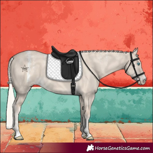 Horse Color:Powder White Cremello Dun 
