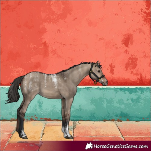 Horse Color:Powder White Bay Dun