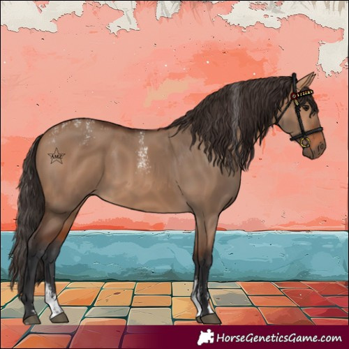 Horse Color:Powder White Bay Dun