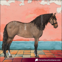 Horse Color:Powder White Bay Dun 