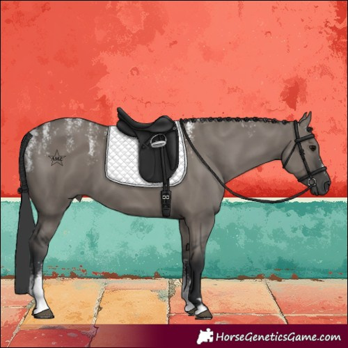 Horse Color:Powder White Grullo