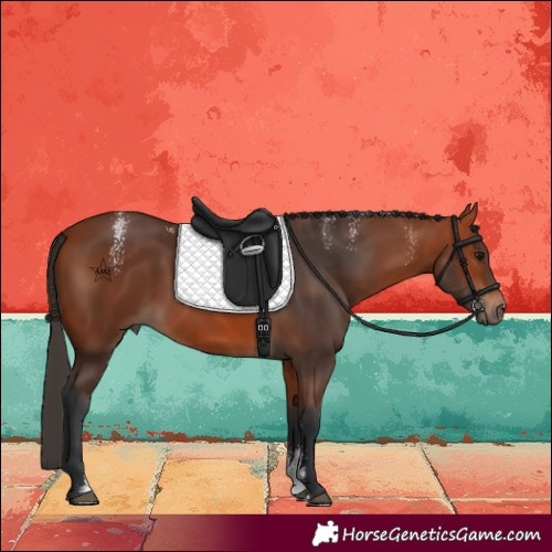 Horse Color:Powder White Bay