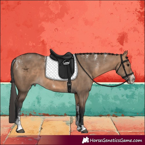 Horse Color:Powder White Bay Dun