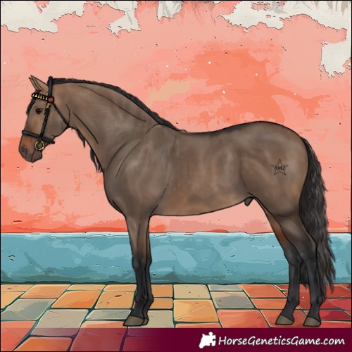 Horse Color:Bay Dun
